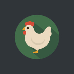 Flat Icon of Chicken for Poultry Farming
