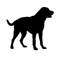 Running labrador retriever silhouette side view vector illustration