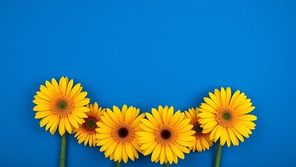 Vibrant yellow gerbera flowers arranged in a circle against a deep blue background.