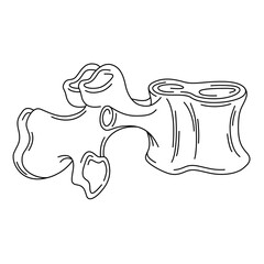 Human one vertebra. Medicine. Body part.Line art isolated icon symbol.Drawing vector illustration.