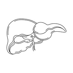 Human liver. Medicine. Body part.Line art isolated icon symbol.Drawing vector illustration.