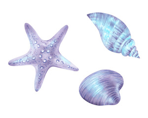 Starfish shell and conch. Watercolor and marker illustration. Hand drawn isolated art. Wild underwater life. Snails for menu design, children's room, tourism, guidebook. Exotic ocean fauna