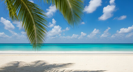 Bright Turquoise Ocean & Feathery Palm Frond over Pristine Shore