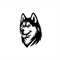 Naklejka premium Husky dog head isolated on white background