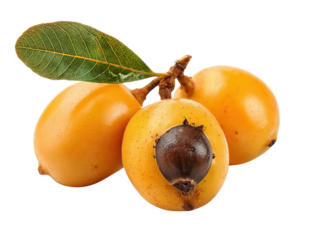 loquat fruit with seed and leaf on transparent background.