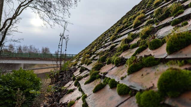 Close up view of moss-covered tiled roof home. Mossy sporophytes growth, leafless bare tree branches, background bridge. Overcast sky, grey cloudy autumn day. Clogged guttering, house rooftop tiles.