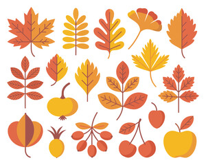Fototapeta premium Leaf Vector Illustration Set – Includes Oak, Maple, Ash, Aspen, Ginkgo Leaves, and Rose Hip Elements – Great for Scrapbooking, Fall Decor, and Seasonal Crafts