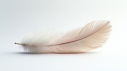 Obraz premium Would you like to share an example so I can show you how it works?