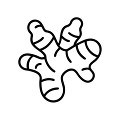 Fototapeta premium Ginger root illustration in a simplistic line art style 
