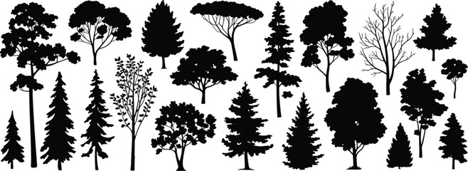 Tree silhouettes collection, black botanical vector, coniferous deciduous bare trees, nature clipart set, forest design elements, foliage variety © Morsalin Creatives