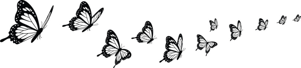 Elegant butterfly silhouettes flying in a graceful curve, black vector design, delicate wings, nature-inspired art, seamless pattern collection