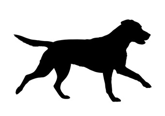 Running labrador retriever silhouette side view vector illustration