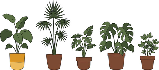 Indoor potted plants collection, houseplant variety, decorative foliage, home gardening, plant decor, leaf texture, pot design, botanical arrangement