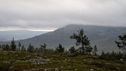 fog in the mountains