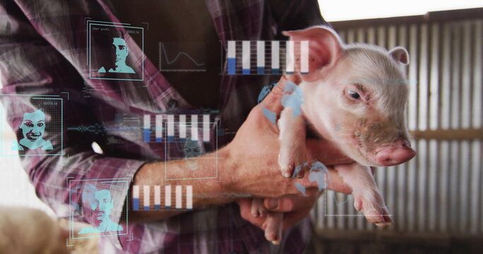 Inspecting farmer wearing plaid shirt holding piglet at livestock barn with HUD charts, copy space