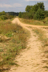 Sunny rural dirt road stretching through green fields on a bright summer day. Warm natural light, peaceful countryside landscape, and clear sky. Ideal for travel, nature, or seasonal backgrounds.