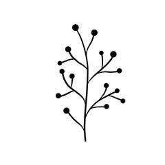 branch with black berries