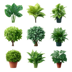 Obraz premium A collection of various green plants displayed against a white isolate background, showcasing different shapes and sizes of leaves in their natural pots.