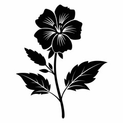malva trimestri flower vector  silhouette on-white