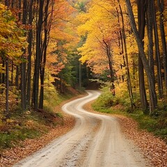 Fototapeta premium Curving autumn road with soft light and golden tree forest