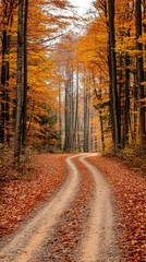 Obraz premium Autumn forest road covered with leaves and vertical golden trees
