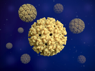 Chikungunya viruses. The Chikungunya disease has become a global health concern.