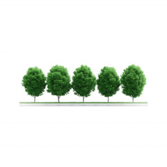 A row of lush green trees, showcasing vibrant foliage against a minimalist white background, perfect for projects focusing on nature, landscaping, or environmental themes.