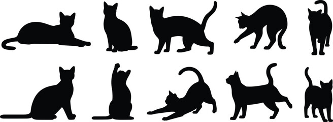 Silhouette collection of cats in various poses, sitting, stretching, playing, walking, isolated black feline shapes for pet illustration, vector graphic, design elements