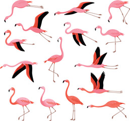 Pink flamingo illustrations, tropical bird clipart, flying flamingos, walking flamingos, exotic wildlife, animal vector, flamingo set, nature theme, decorative design, colorful birds, wings spread
