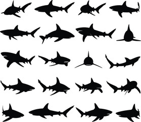 Silhouette collection of sharks in various swimming poses, marine predator illustrations, isolated vector icons for ocean wildlife, sea life, and danger themes