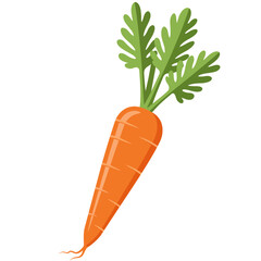 A Single Orange Carrot with Green Leaves