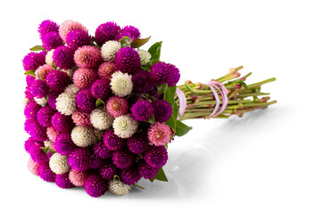bouquet of pink and white chrysanthemum isolated on white background