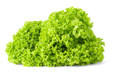 Obraz premium fresh green lettuce isolated on white background