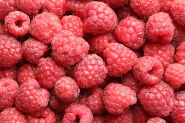 Many fresh ripe raspberries as background, top view