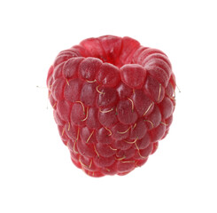 One fresh tasty raspberry isolated on white