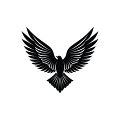 Fototapeta premium eagle with wings