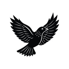 Obraz premium eagle with wings