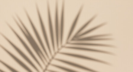 Obraz premium Serene palm leaf shadow casts a tranquil, minimalist vibe across a soft, neutral background