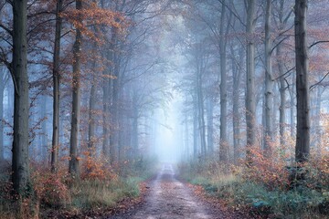 Misty autumn forest path