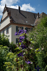 Gengenbach, Germany: herb garden in the Benedictine monastery. Gengenbach  is a small, idyllic town in the Black Forest, known for its colourful historic half-timbered houses.