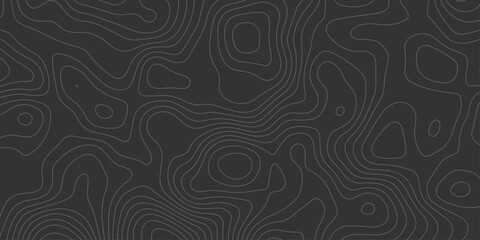 Abstract black canvas layered with flowing topographic lines, giving a sense of digital elevation and spatial depth for modern graphic or tech use.

