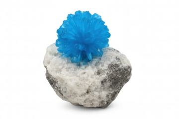 Vibrant blue cavansite crystals emerging from white stilbite matrix, highlighting geometric formations and mineral contrast with sharp crystalline structure