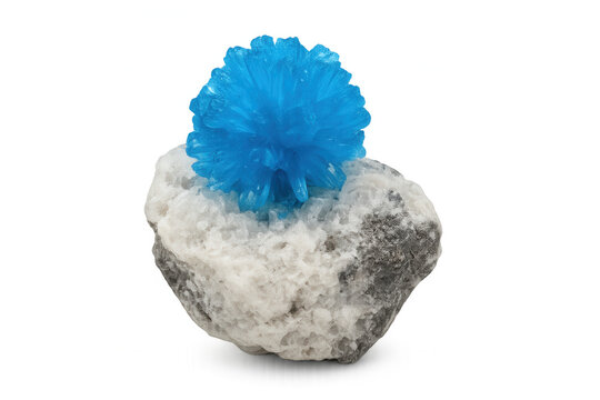 Vibrant blue cavansite crystals emerging from white stilbite matrix, highlighting geometric formations and mineral contrast with sharp crystalline structure