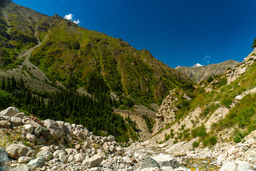 Ala-Archa, Mountain landscape featuring rugged terrain, rocky riverbed, steep slopes, alpine forest, clear blue sky, and distant snow capped summits. Trekking, mountaineering, and outdoor adventure