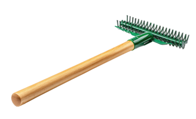 Garden rake with wooden handle and green metal tines