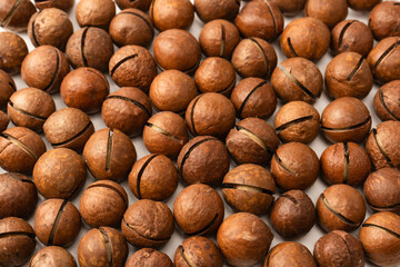 Macadamia nuts in a shell isolated on a white background.
