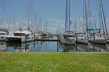 Scenic Marina with Boats Surrounded by Green Trees on a Clear Day with reflections. Serene marina featuring various boats docked by a wooden pier, surrounded by lush greenery and set against a blue sk