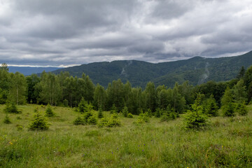  Yavirnyk meadow in the Carpathians near town Yaremche, Ukraine
