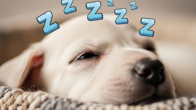 Adorable Puppy Sleeping Peacefully in Cozy Bed Gentle Close Up