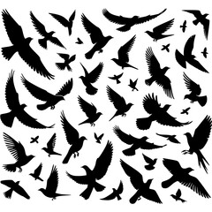Fototapeta premium Soaring Silhouette: A dramatic montage of bird silhouettes in flight, an eye-catching, artful illustration, set against a clean backdrop.